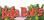 Baja Bob promotion codes