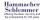 Hammacher Schlemmer promotion codes