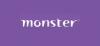 Monster.com promotion codes
